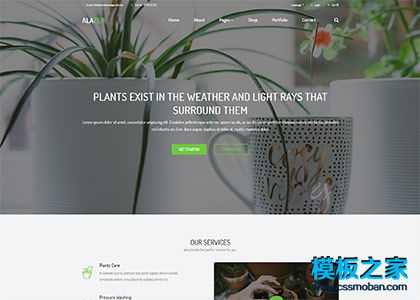 绿色盆栽园艺工作室bootstrap精品模板