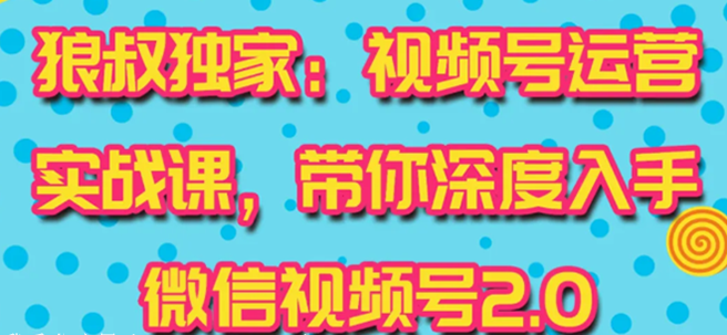 视频号运营实战课视频教程下载-最新最全玩法快速吸粉吸金