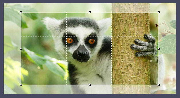 jQuery图片剪裁效果